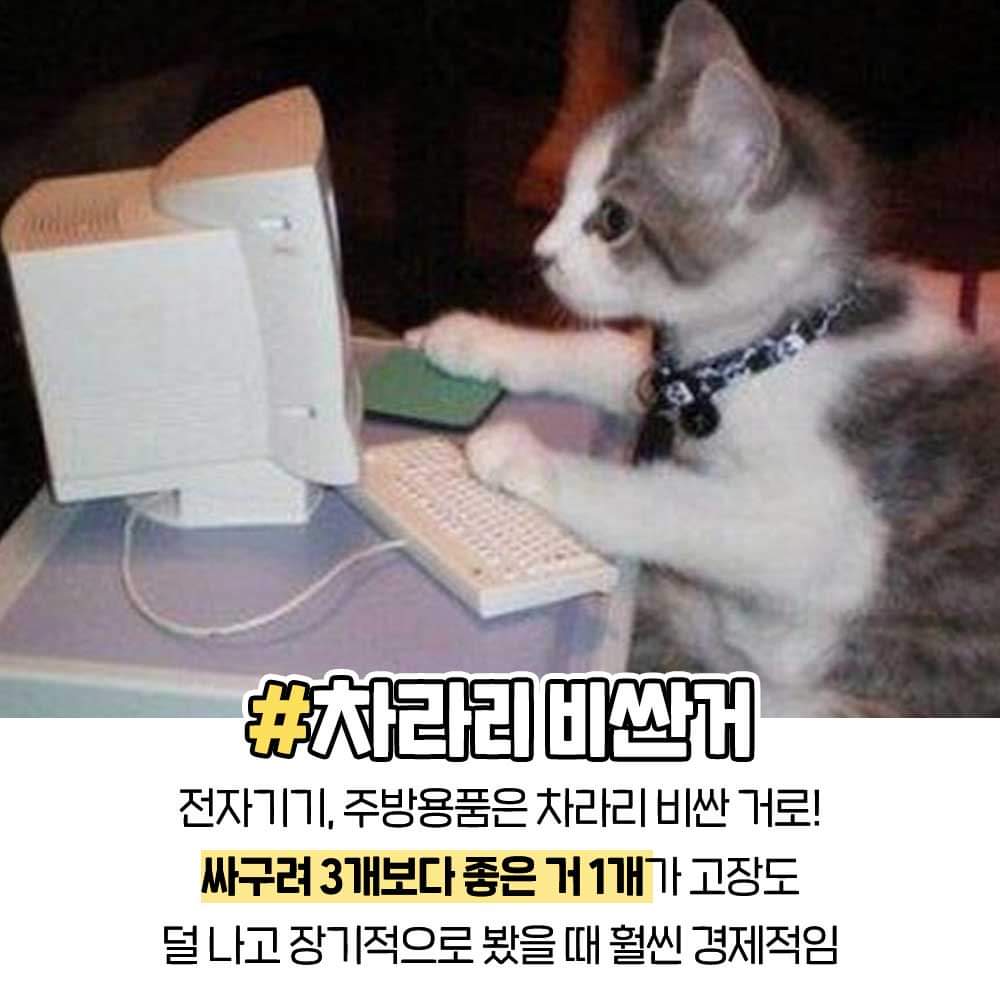 FB_IMG_1637636077824.jpg