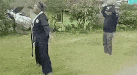 GIF_20250601_040401_047.gif