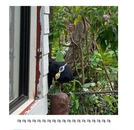 %ec%b0%a8%eb%8b%a84.PNG